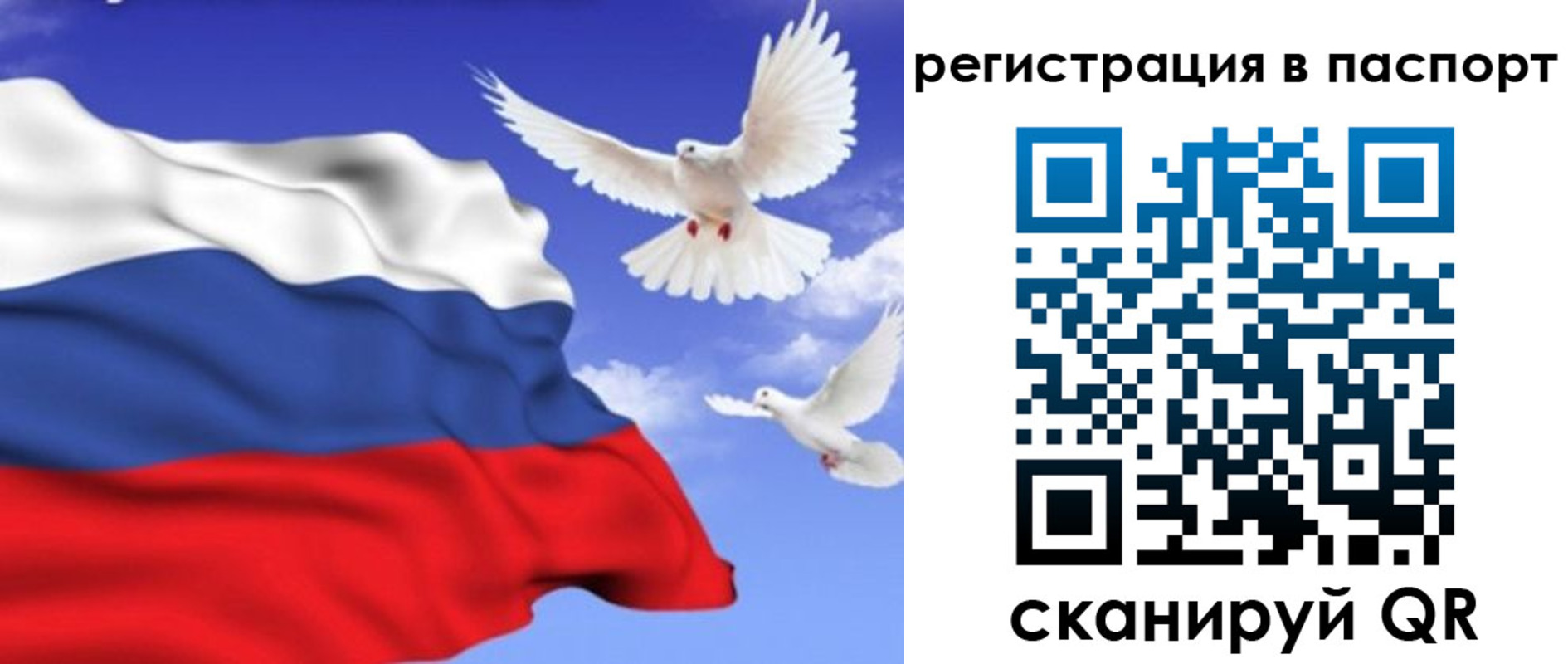 купить прописку в Архангельской области